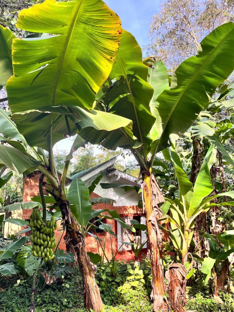 Raices Amambai Lodges Puerto Iguazu Ngoại thất bức ảnh